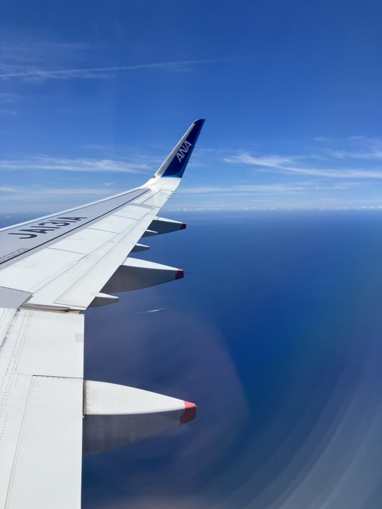 飛行機